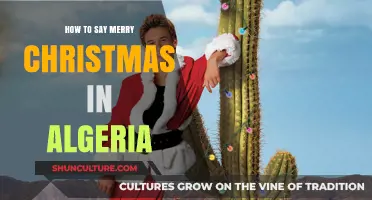 Celebrate Christmas in Algeria: Learn How to Say Merry Christmas