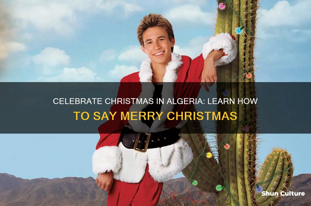 how to say merry christmas in algeria