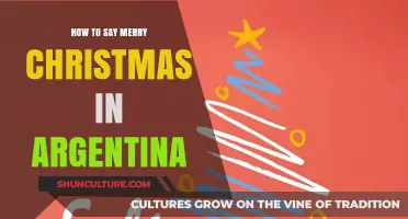 Feliz Navidad en Argentina: A Guide to Holiday Greetings