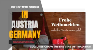 Festive Greetings: A Guide to Saying Merry Christmas in German-Speaking Countries