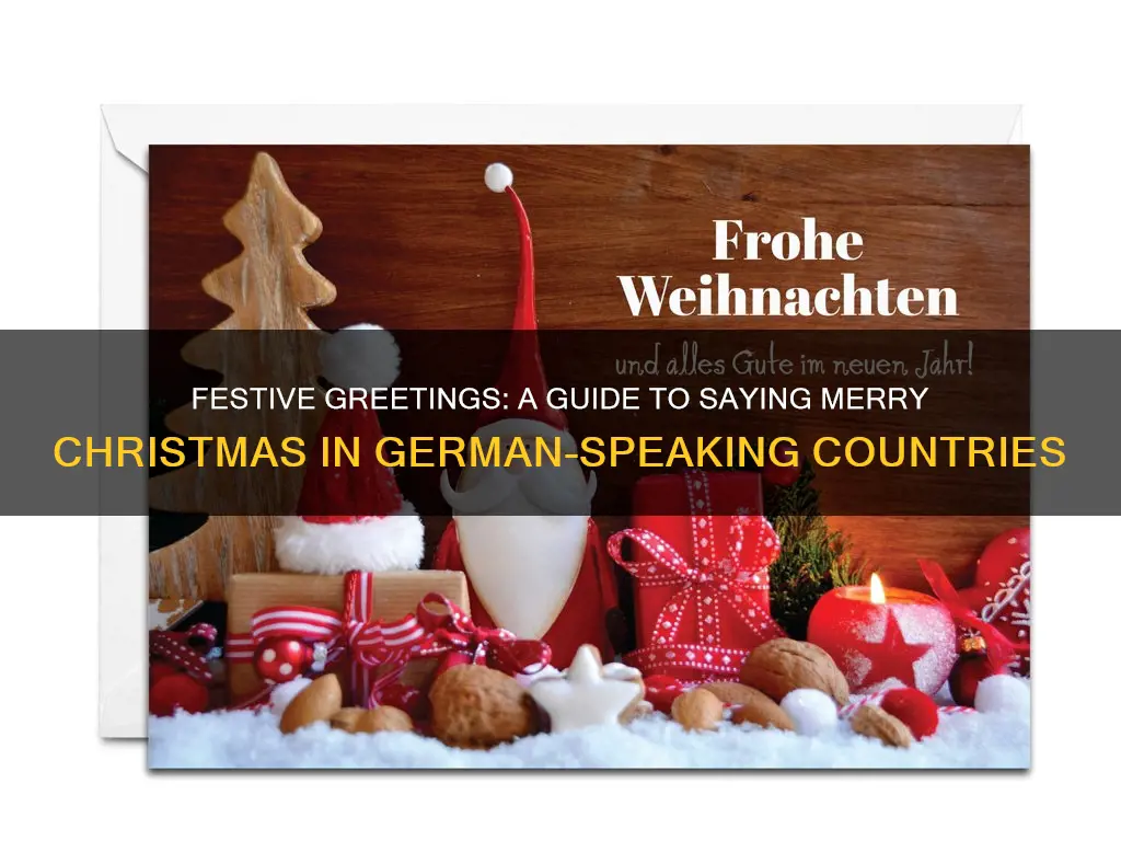 how to say merry christmas in austria germany