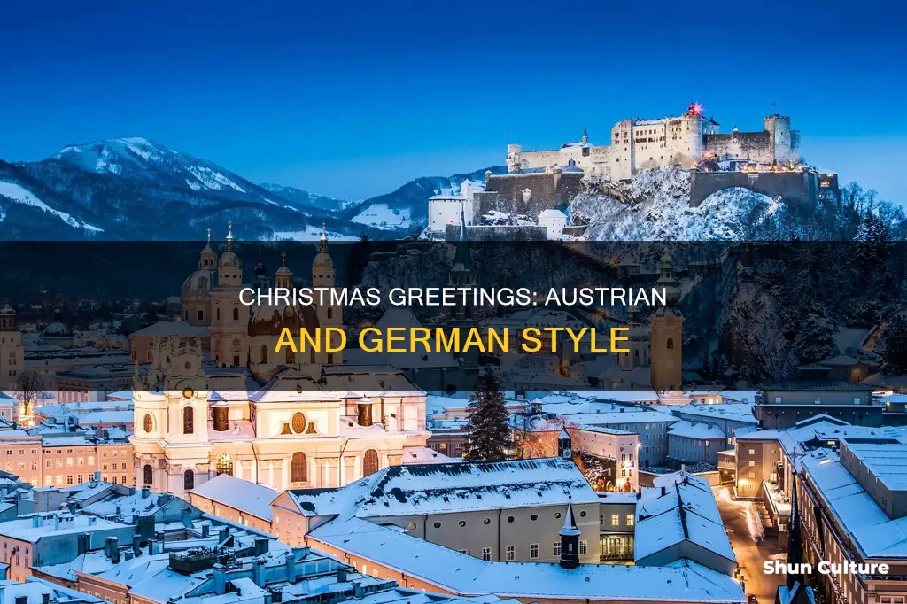 how to say merry christmas in austria germany