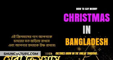 Celebrate Christmas in Bangladesh: Learn to Say 'Merry Christmas' in Bengali
