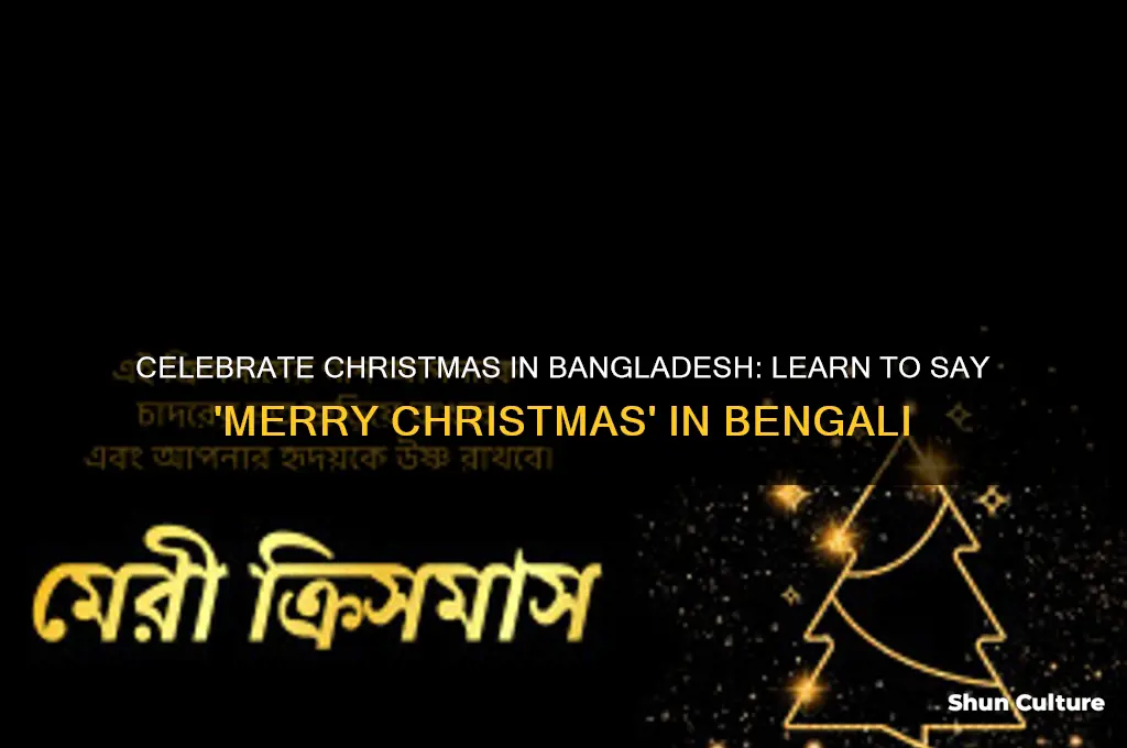 how to say merry christmas in bangladesh