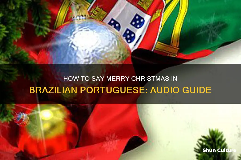 how to say merry christmas in brazil audio