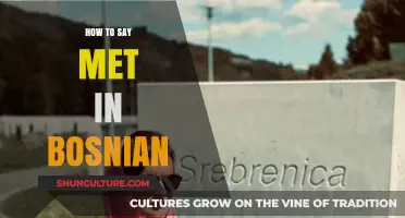 Mastering Bosnian Language: Learn How to Say 'Met' Accurately and Easily