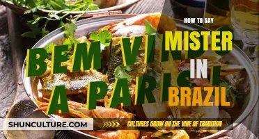 How to Say 'Mister' in Brazil: A Quick Language Guide