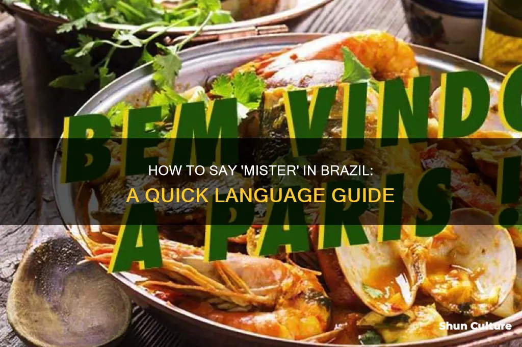 how to say mister in brazil