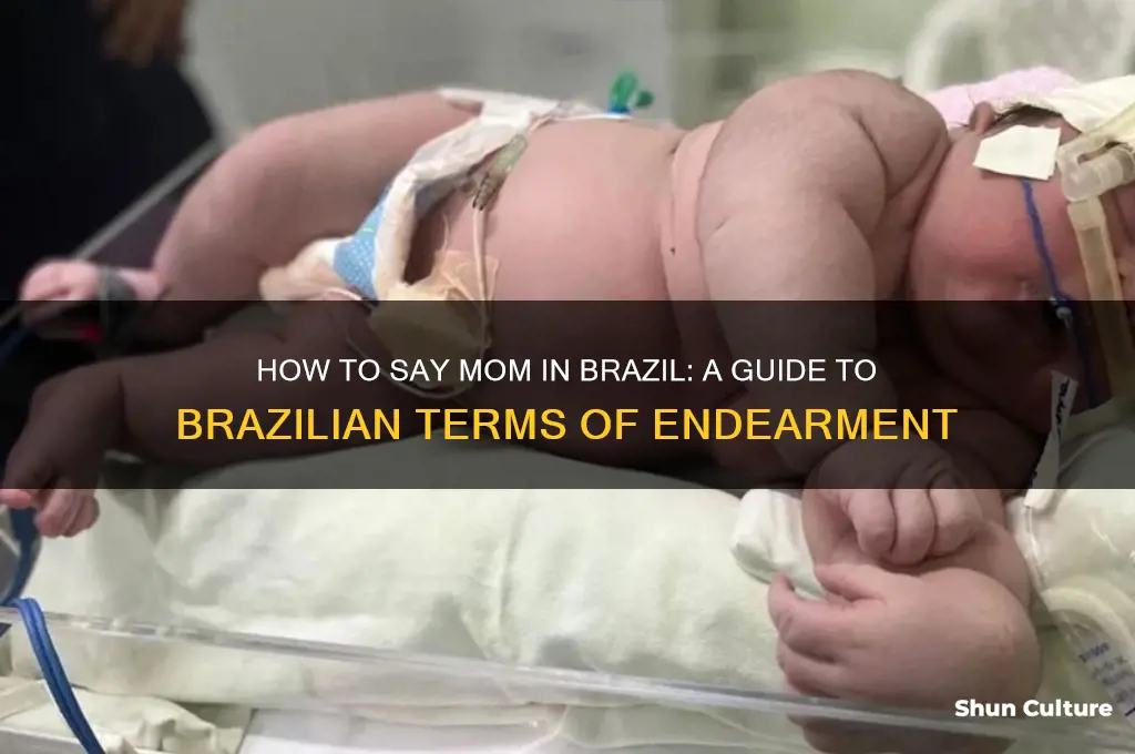 how to say mom in brazil