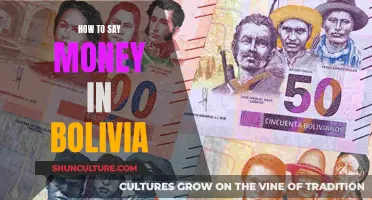 Exploring Bolivia: The Many Ways to Say 'Money