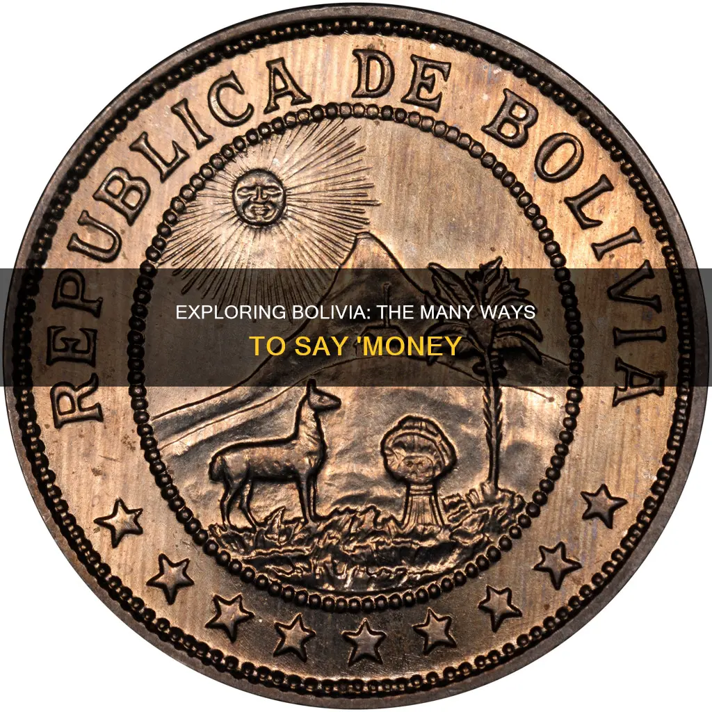 how to say money in bolivia