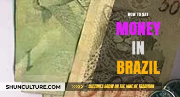 Speaking Real: How to Say Money in Brazil Like a Local