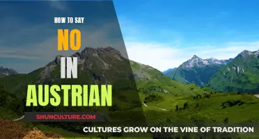 Mastering the Art of Saying No: Austrian Tips