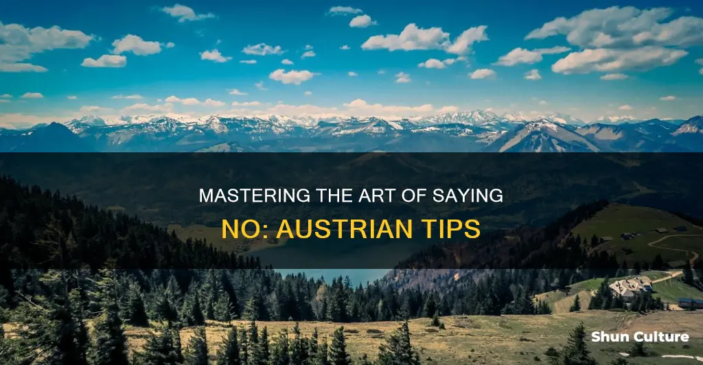 how to say no in austrian