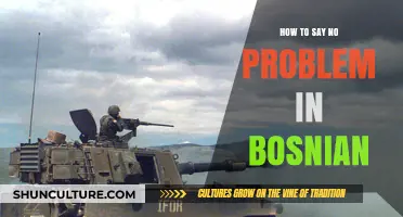 Mastering Bosnian Etiquette: How to Say 'No Problem' Like a Local