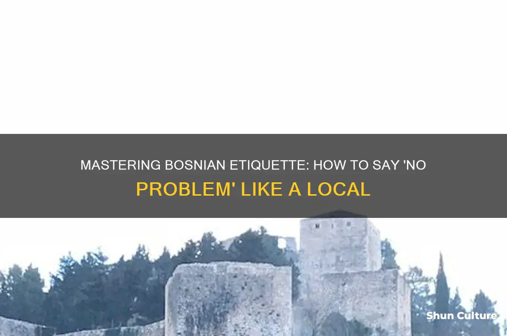 how to say no problem in bosnian