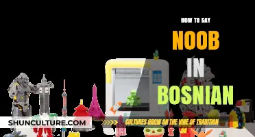 How to Say 'Noob' in Bosnian: A Quick Language Guide