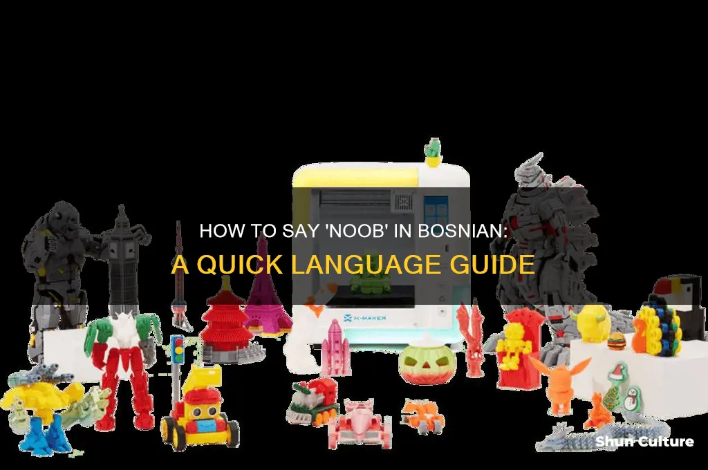 how to say noob in bosnian