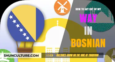 Mastering Bosnian Phrases: How to Say 'Out of My Way' Easily