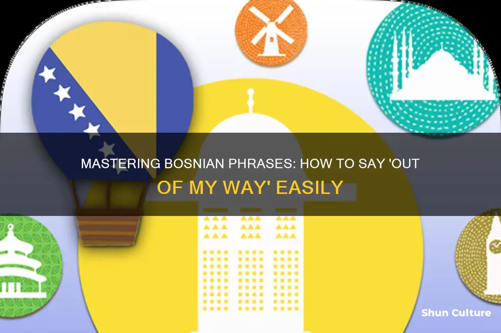 how to say out of my way in bosnian