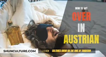 Mastering the Art of 'Over' in Austrian: A Guide