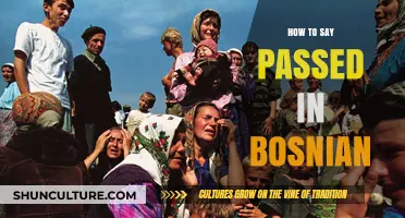 Mastering Bosnian: Learn How to Say 'Passed' Accurately and Easily