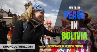 Greetings of Goodwill: Saying Peace in Bolivia