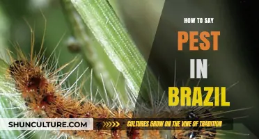 Saying 'Pest' in Brazilian Portuguese: A Quick Language Guide