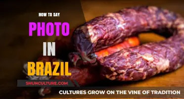 Discover the Brazilian Way: How to Say 'Photo' in Portuguese