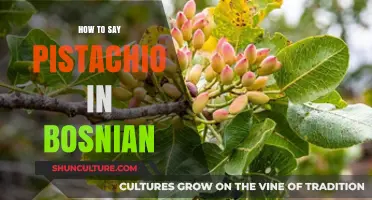 How to Say Pistachio in Bosnian: A Quick Language Guide