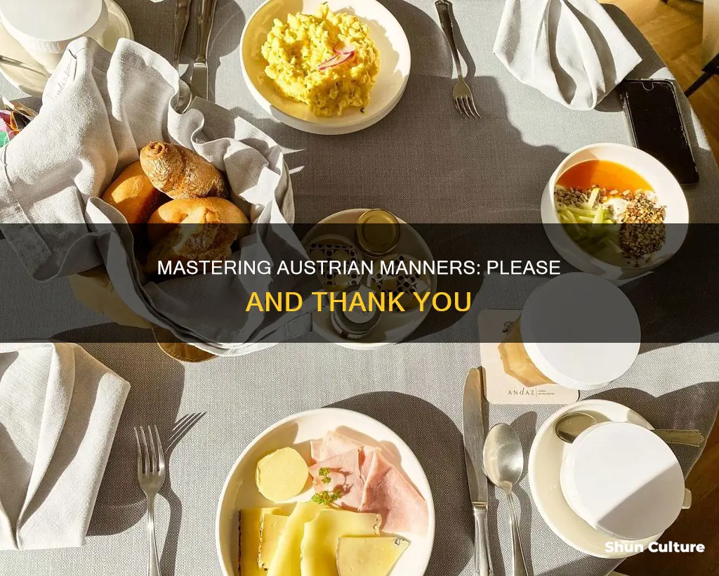 how to say please and thank you in austrian