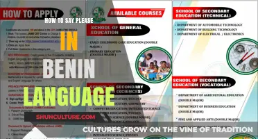 Exploring Politeness: How to Say 'Please' in the Benin Language