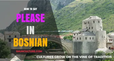 Mastering Bosnian Etiquette: How to Say 'Please' Like a Native Speaker