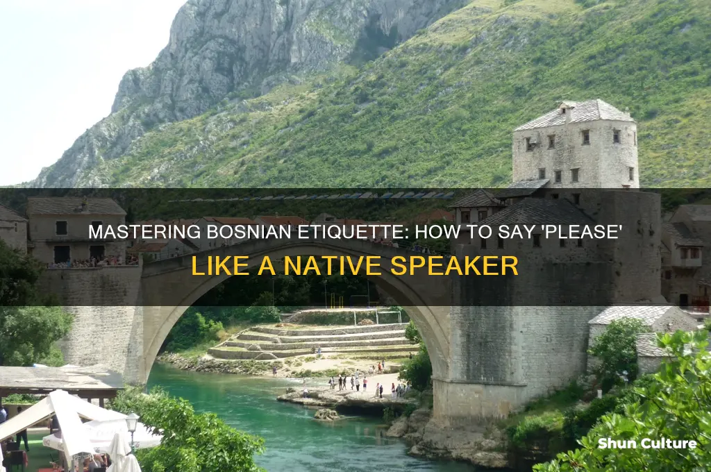 how to say please in bosnian