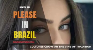Mastering Politeness: How to Say Please in Brazilian Portuguese