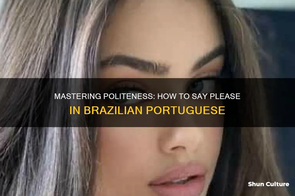 how to say please in brazil