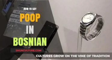 Mastering Bosnian Slang: How to Say Poop in Bosnian Language