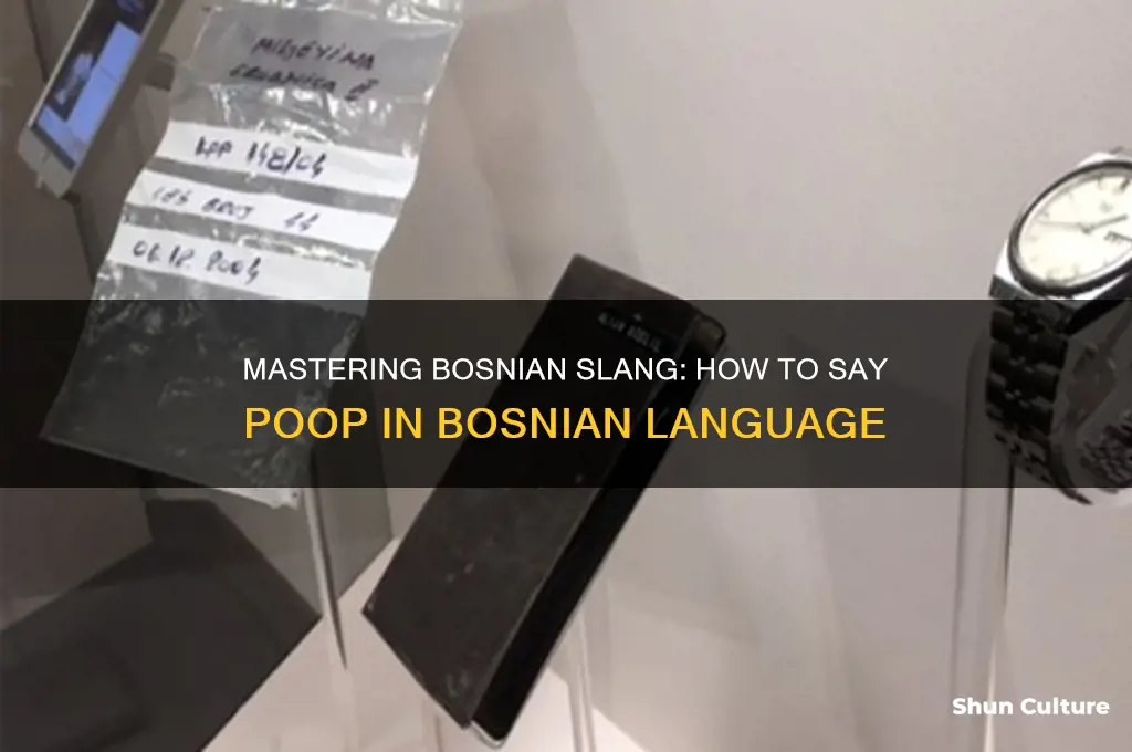 how to say poop in bosnian