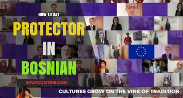 Learn to Say 'Protector' in Bosnian: A Quick Language Guide