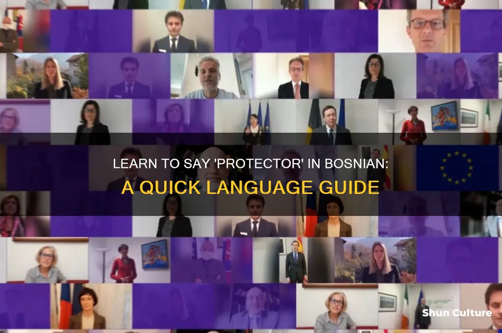 how to say protector in bosnian