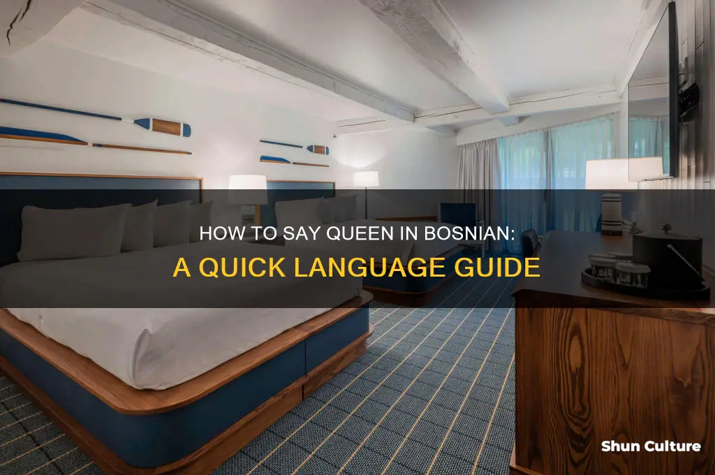 how to say queen in bosnian
