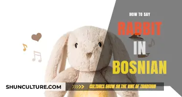 Learn Bosnian Vocabulary: How to Say Rabbit in Bosnian Language