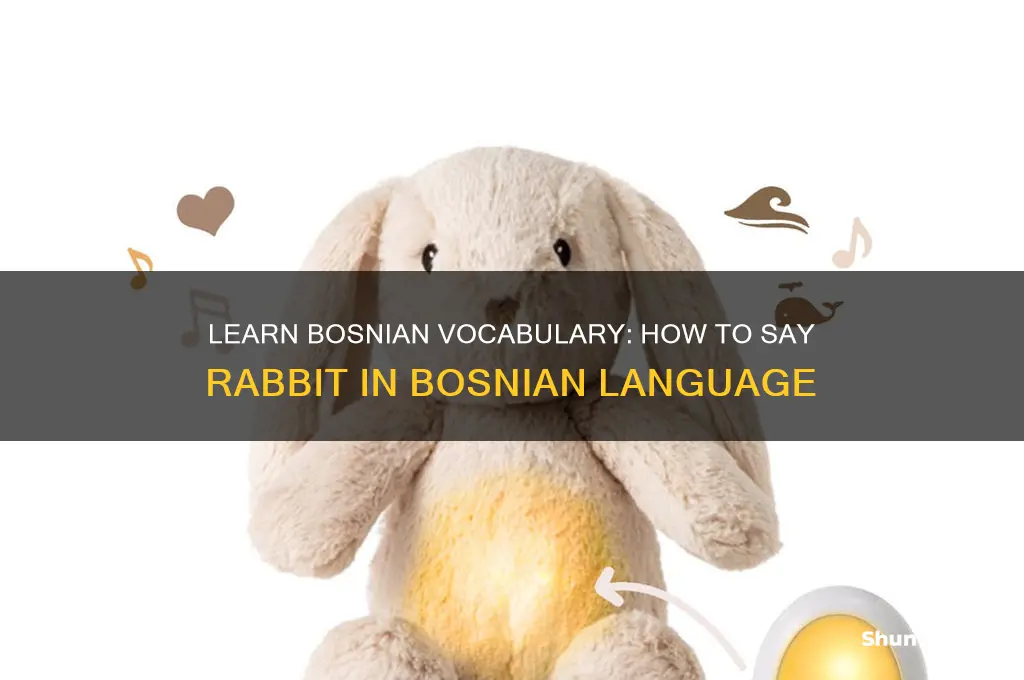 how to say rabbit in bosnian