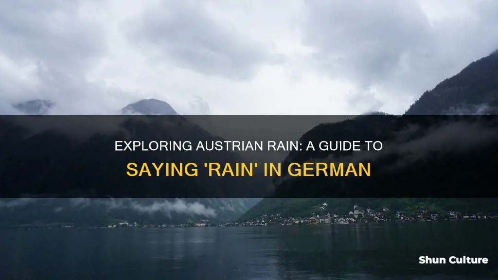 how to say rain in austria