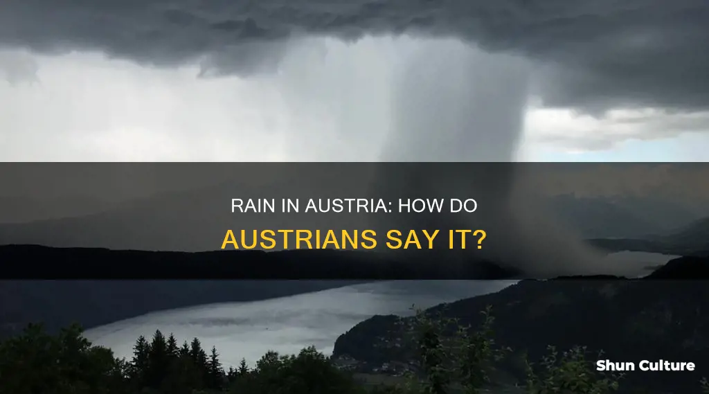 how to say rain in austria