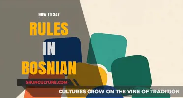 Mastering Bosnian: Essential Phrases for Communicating Rules Effectively