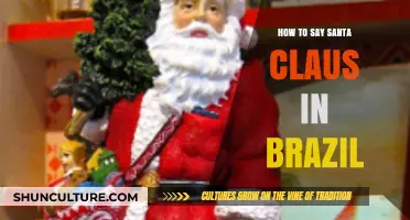 Discovering Brazil's Santa Claus: How to Say It in Portuguese