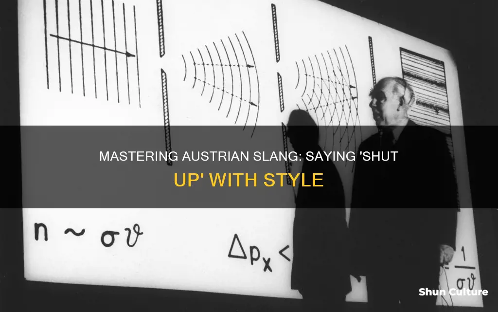 how to say shut up in austria