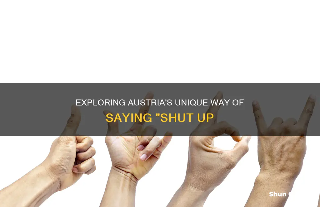 how to say shut up in austria
