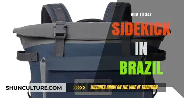 How to Say Sidekick in Brazil: A Quick Language Guide